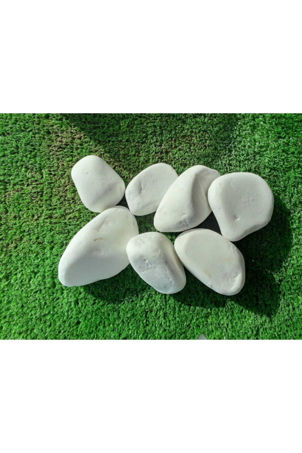 asenya-dolomit-ta-3-kg-2-4-cm-beyaz-dolomit-ta-saks-dibi-dekoratif