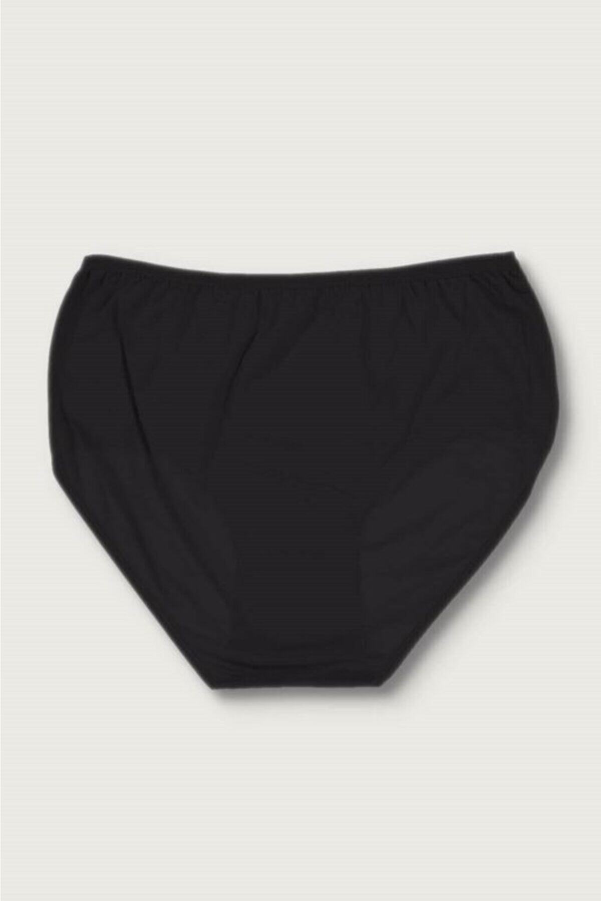Miss Modinn Bato Slip Panties
