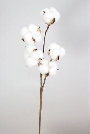 5li Pamuk Dalı - Doğal Kuru Çiçek - Süs Dekorasyon AKERYPCCK-FKYT-555