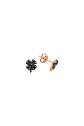 Hp 304 Siyah N9k06ae 304 Renkli N9k05ae Orijinal Kartus Seti Trendyol