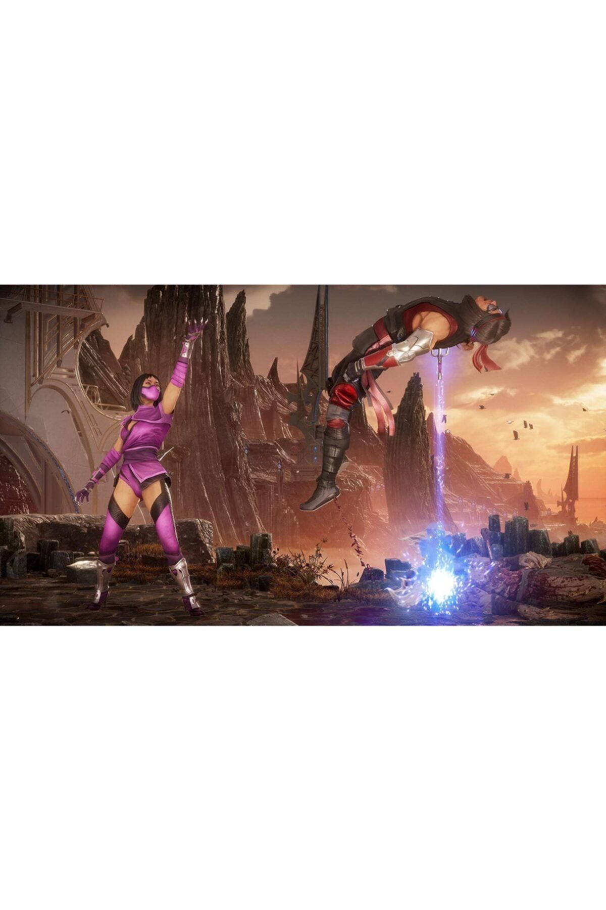 Mortal kombat 11 price nintendo switch store