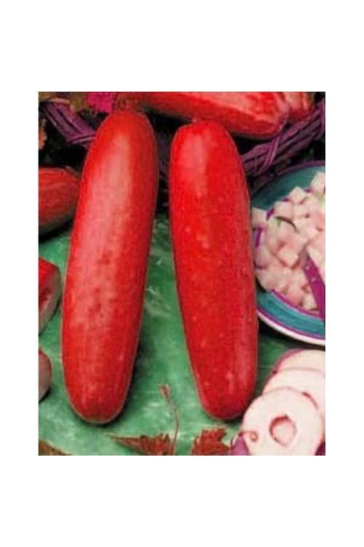 Red cucumber Cucumis sativus