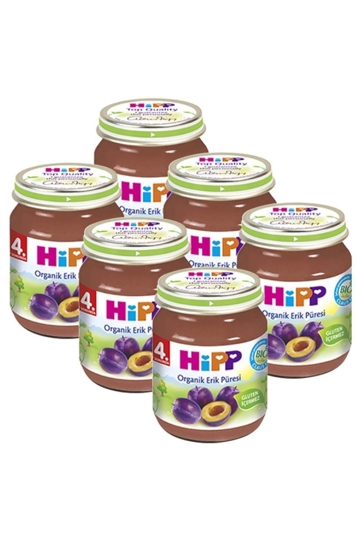 Hipp Organik Erik Püresi 125gr 6 Adet