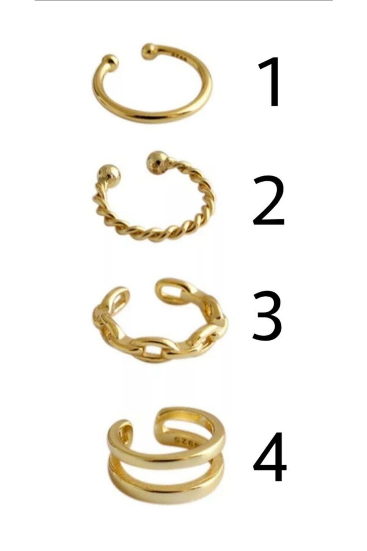 Tetras C Kıkırdak Küpe - 4 No (925 AYAR) 2