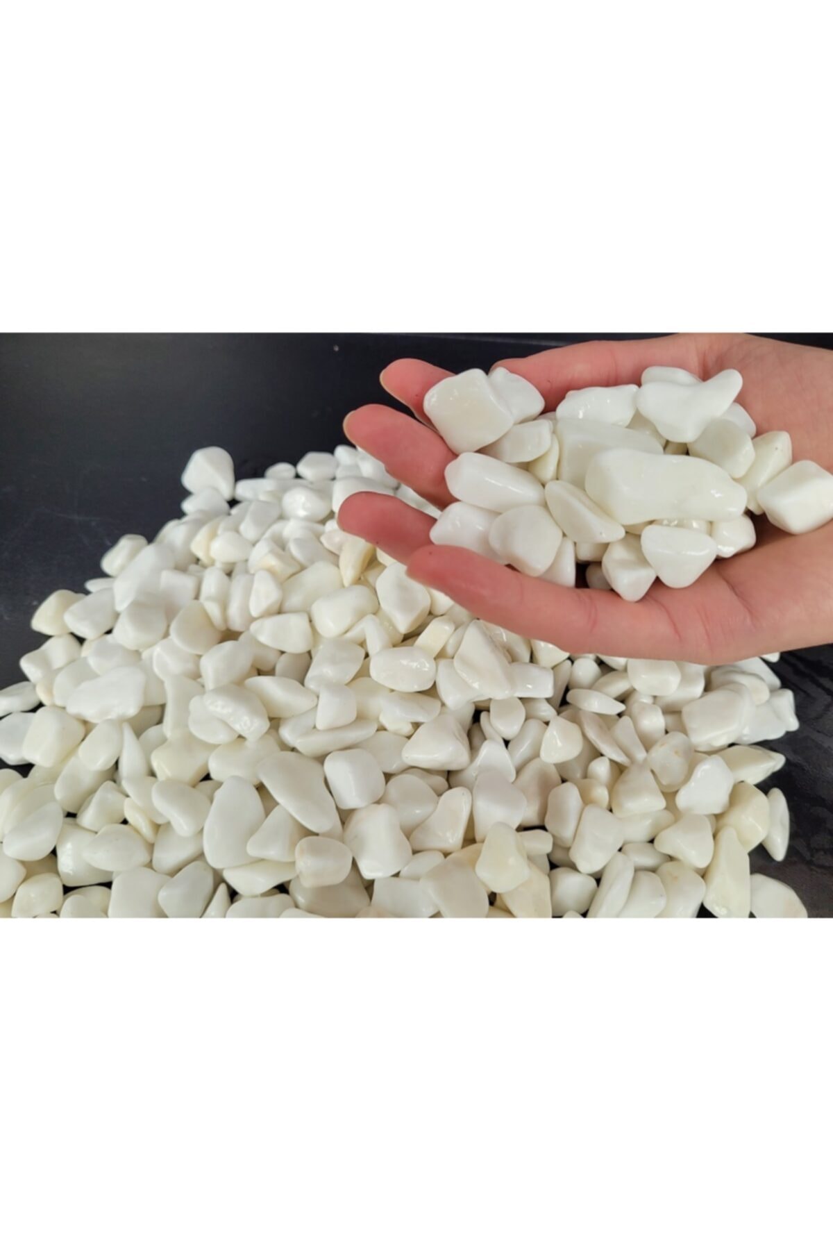 Beyaz Dolomit Taş 4 Kg 1,5-2,5 Cm Bahçe Taşı Dekoratif Taş Dere Taşı Çakıl Taşı Süs Taşı 2