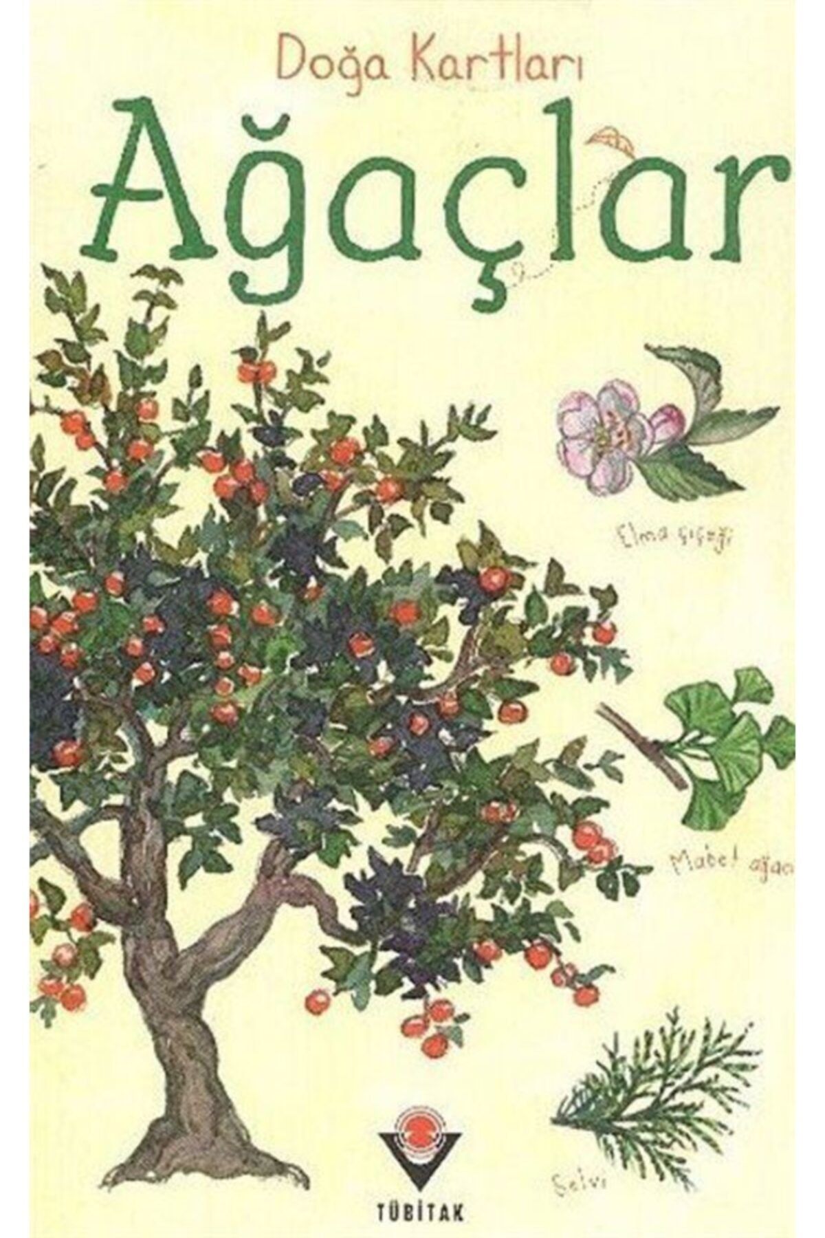 Tree card. Usborne Cards. Tree карточка на английском. Usborne nature. Usborne Beginners Trees