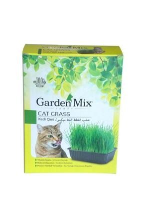 Eden Merakli Bahceci Kedi Otu Cimi Trendyol
