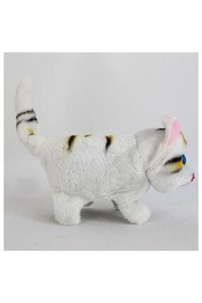 Pilli Kedi Oyuncak