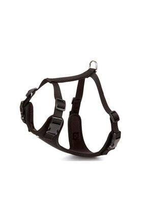 Orijin Ssl305 Gogus Tasmasi Siyah Xxs 45 55 Cm Trendyol