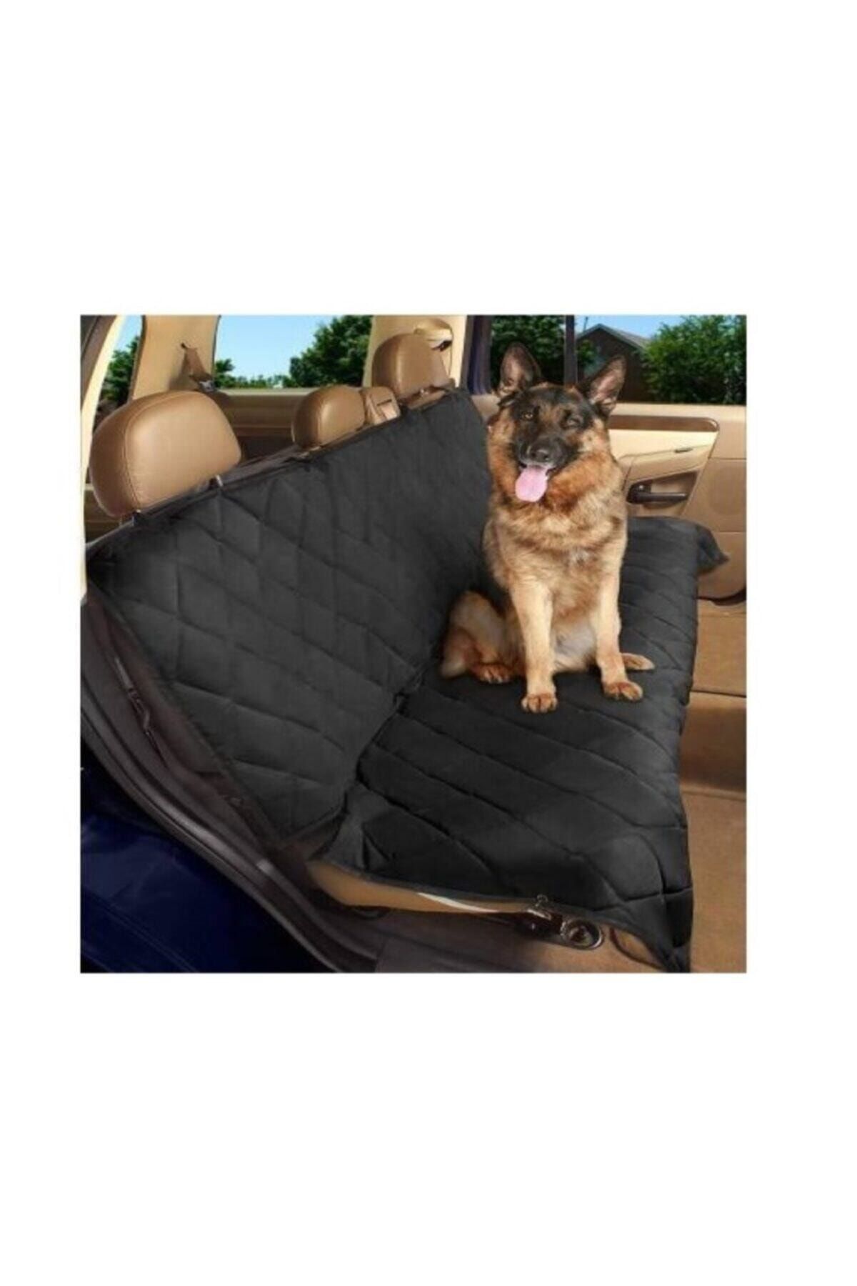 Pet mat shop for car