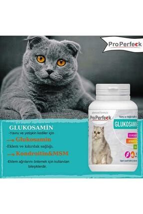Glukosamın Tablet 75 Adet Yavru Ve Yetişkin Kediler Için Eklem Ve Kıkırdak Sağlığı Için GLUKOSAMİN
