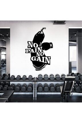 Gym Fitness Kick Boxing No Pain No Gain Sticker FTN18