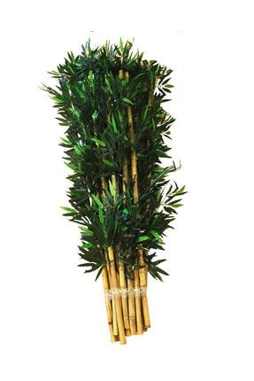 12 Adet 1 Demet Yapay Bambu Ağacı 1 Metre Boyunda Bamboo Çubuklar bambo12li 5