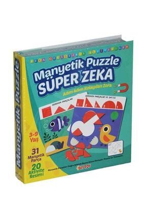 Manyetik Puzzle Süper Zeka T01007153