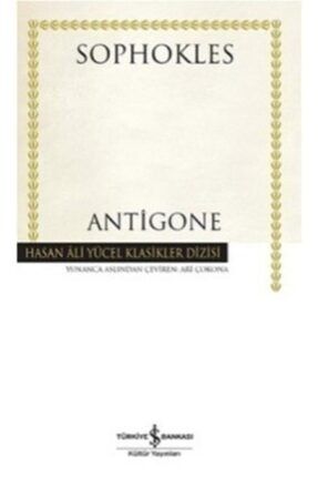 Antigone Soi-9786053321934