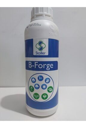 B-forge STG000002