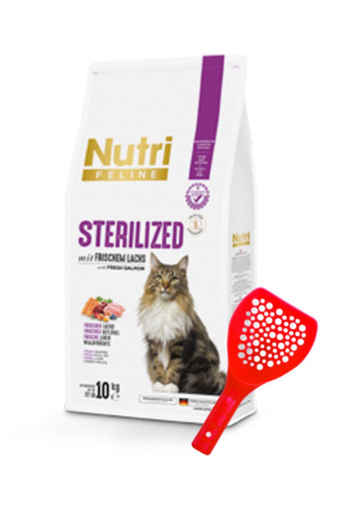 Nutri feline kitten discount