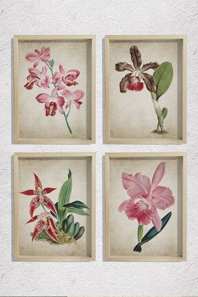Doğal Çam Çerçeveli Duvar Tablosu Antik Orkide Duvar Sanatı 4 Lü Set BT4-X419