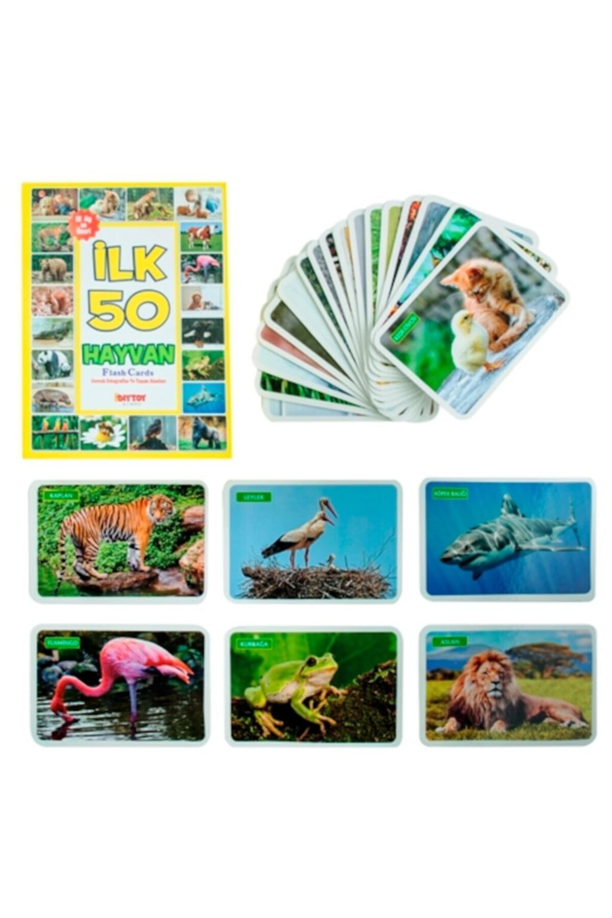 , کارت‌های هوشی، کارت‌های آموزشی، مجموعه ۴ عددی، کارت‌های حافظه