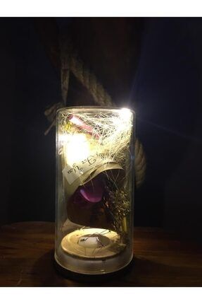 Led Işıklı Cam Fanus Içerisinde Yapay Çiçek Sevgiliye Hediye mgavmknsptypcldısık147