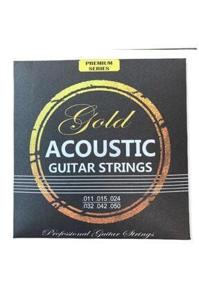 Gold Profesyonel Akustik Gitar Teli (takım) GTR