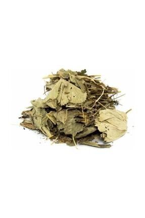 Herbal Vital Aslan Pencesi (testere Dişli) 100 Gr BAHARAT238