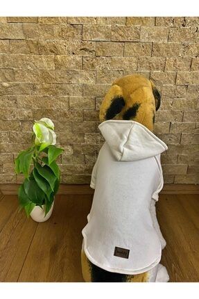 Kedi & Köpek Kıyafeti & Elbisesi Sweatshirt Model Düz Beyaz bsdogdzbyzx