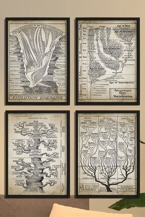 Doğal Ahşap Hayat Ağacı, Jeoloji, Evrim Paleontoloji Jeolojik Zaman Çizelgesi Fosil Kaydı 4 Lü Tablo BT4-X457