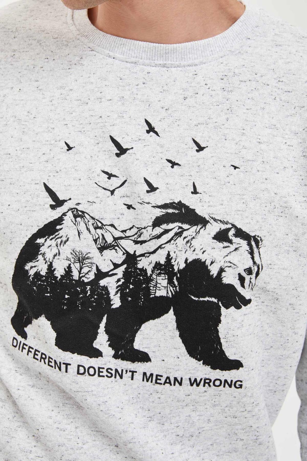 سویشرت مردانه نقره اي دفکتو | R8556AZ20AU اورجینال - تصویر 4