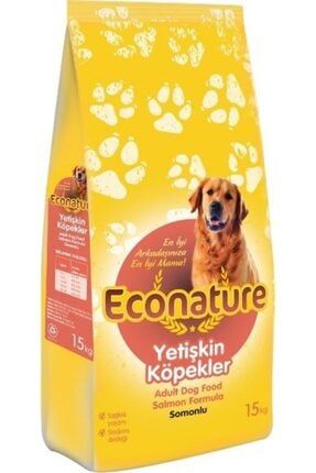 Econature Somonlu Yetiskin Kopek Mamasi 15kg Trendyol