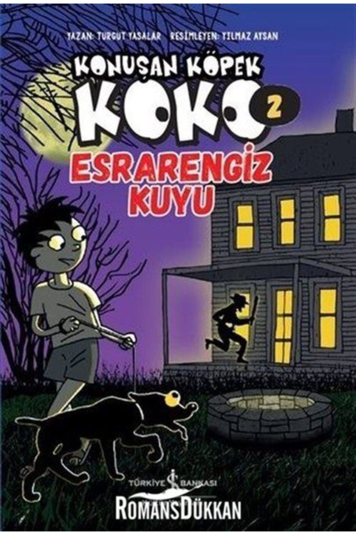 is bankasi yayinlari konusan kopek koko 2 esrarengiz kuyu fiyati yorumlari trendyol