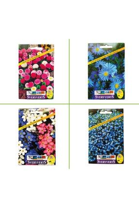 4'lü Special Seri (çilek Papatyası - Mavi Papatya - Unutma Beni - Nobelya Maviş Çiçeği Tohumları) BTGY0134691180