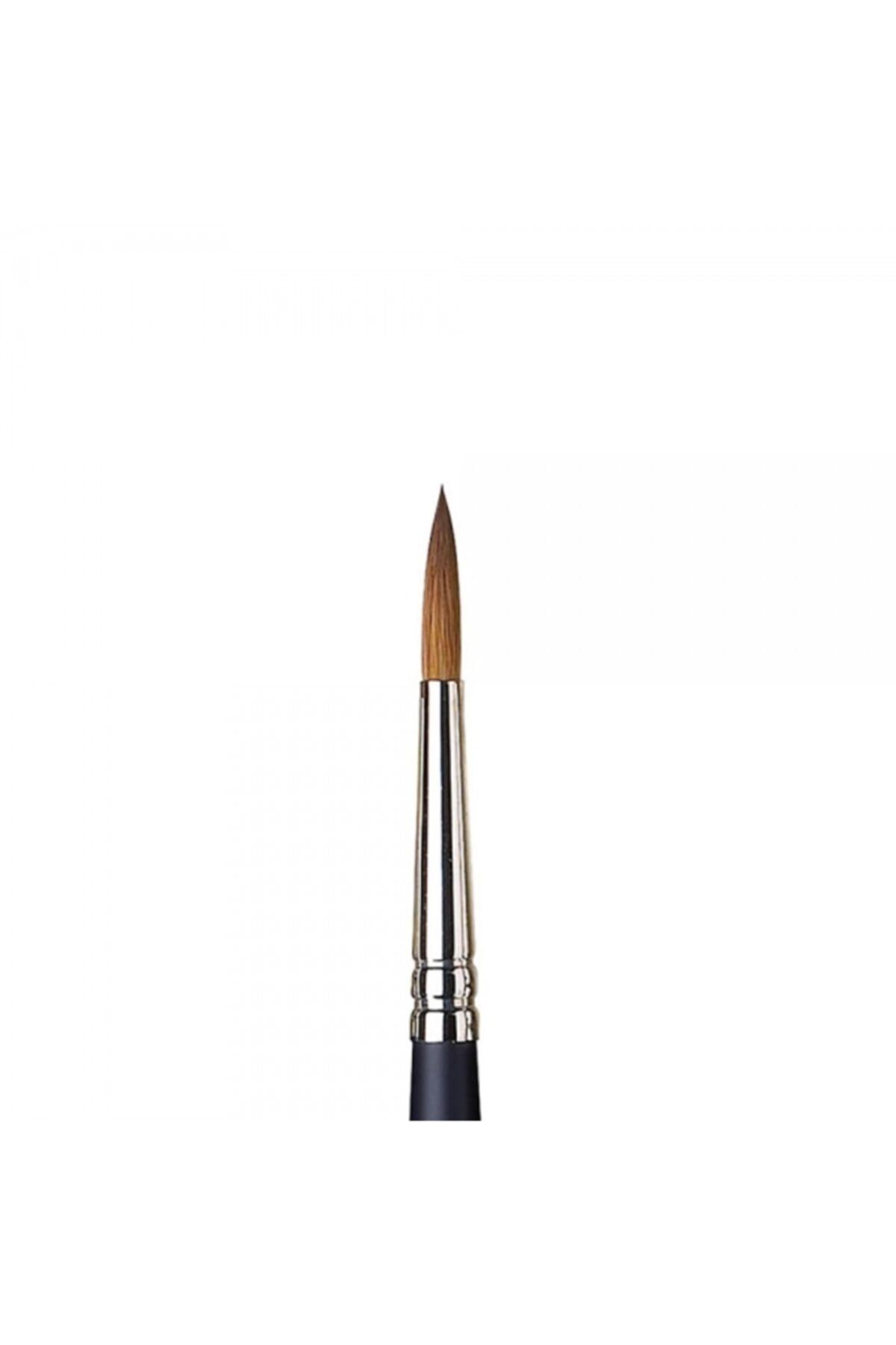 Winsor Newton-Winsor & Newton Professional Kolinsky Short Handle Sable Round Brush No:6 1