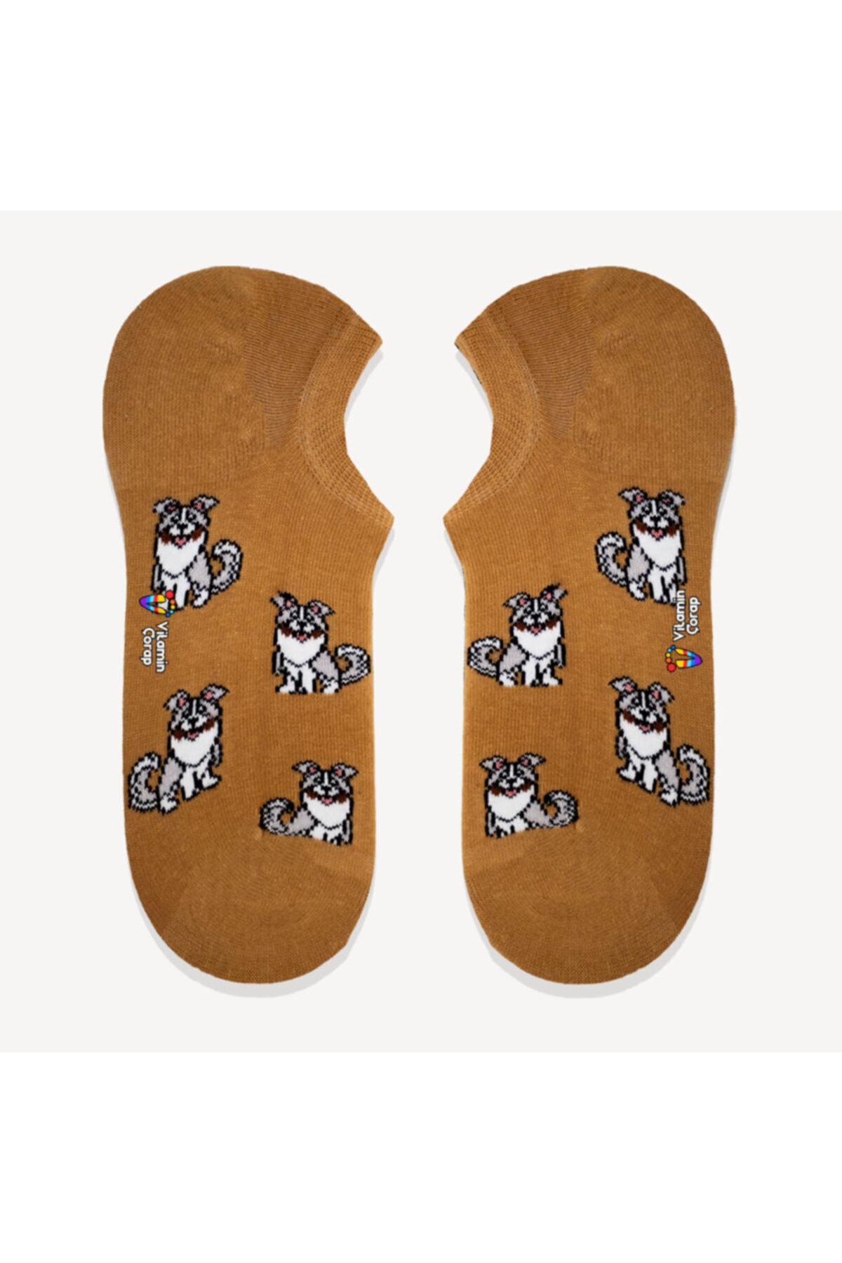 Vitamin Çorap Köpek Sneaker Çorap