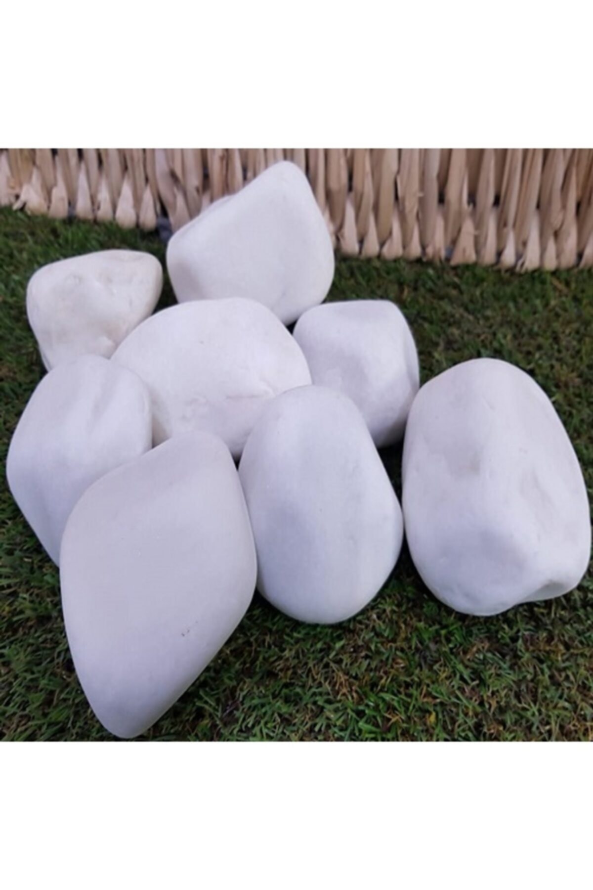 White Dolomite Stone 5 Kg 6-10 Cm Stream Stone Pebble Stone Potted Stone Aquarium Terrarium Stone Garden Stone