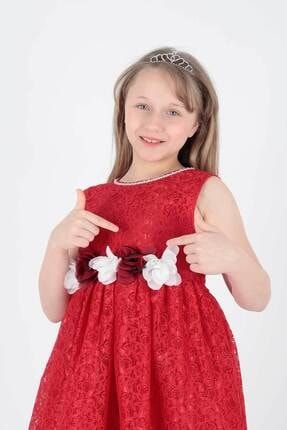 Kız Çocuk Kuyruklu Dantel Elbise Ak2208 1-2-10001098