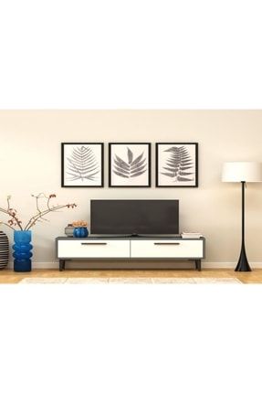 Gardenya Siyah Beyaz Renkli Dekoratif Modern Raflı Dolaplı Tv Ünitesi Televizyon Sehpası GARDENYALENI