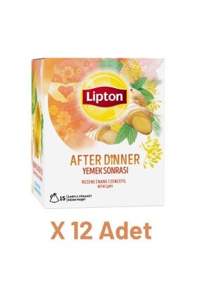 After Dinner - Yemek Sonrası Bardak Poşet Bitki Çayı 15li X 12 Adet 090230-002-032-012