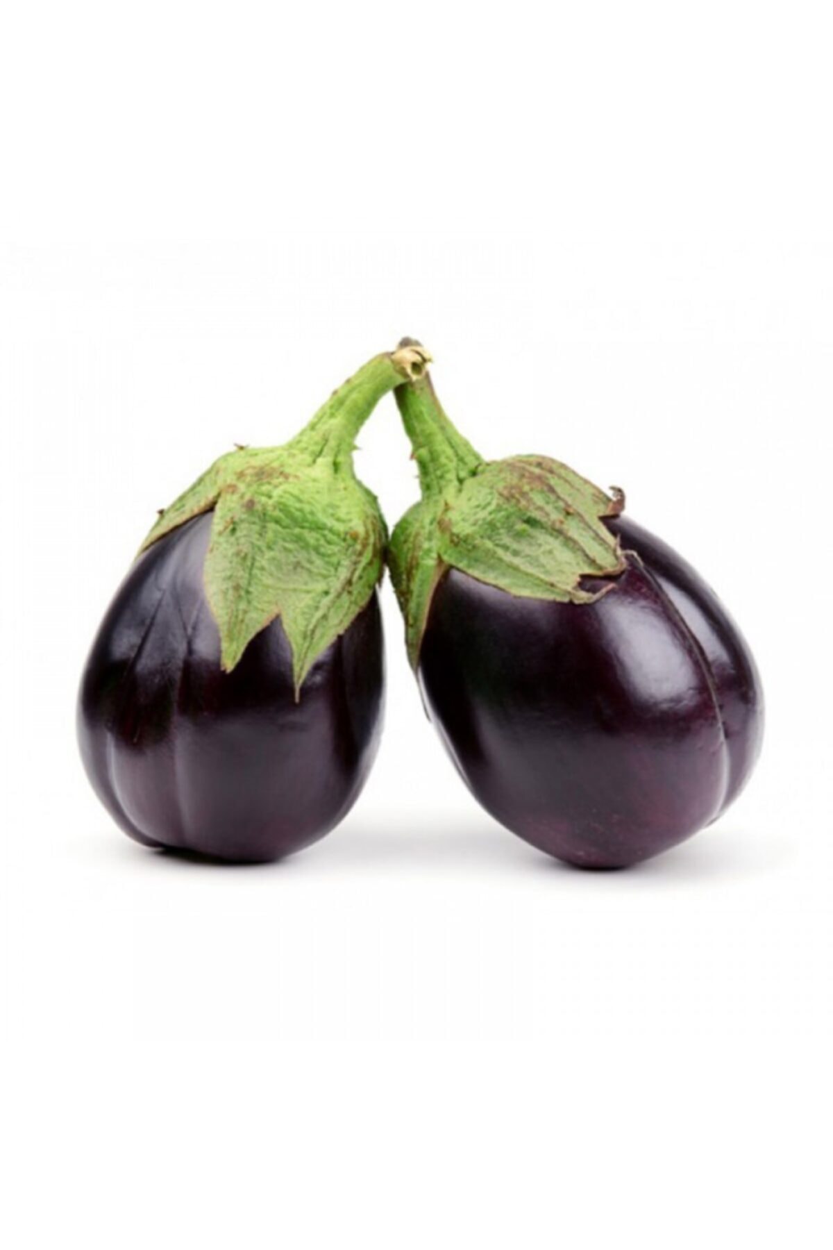 Thebestonline Bostan Eggplant Seedling, 5 Pieces