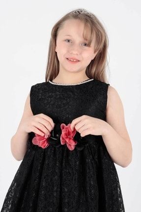 Kız Çocuk Kuyruklu Dantel Elbise Ak2208 1-2-10001098
