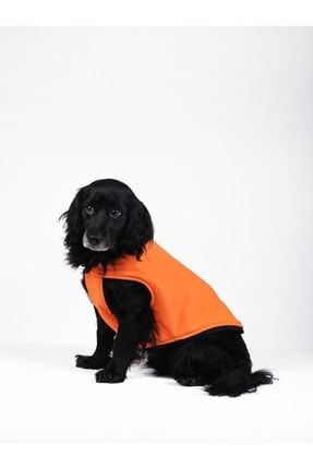 Köpek Kıyafeti Softshell Su Geçirmez Polar Astarlı Yelek Turuncu Siyah SPAY20220007