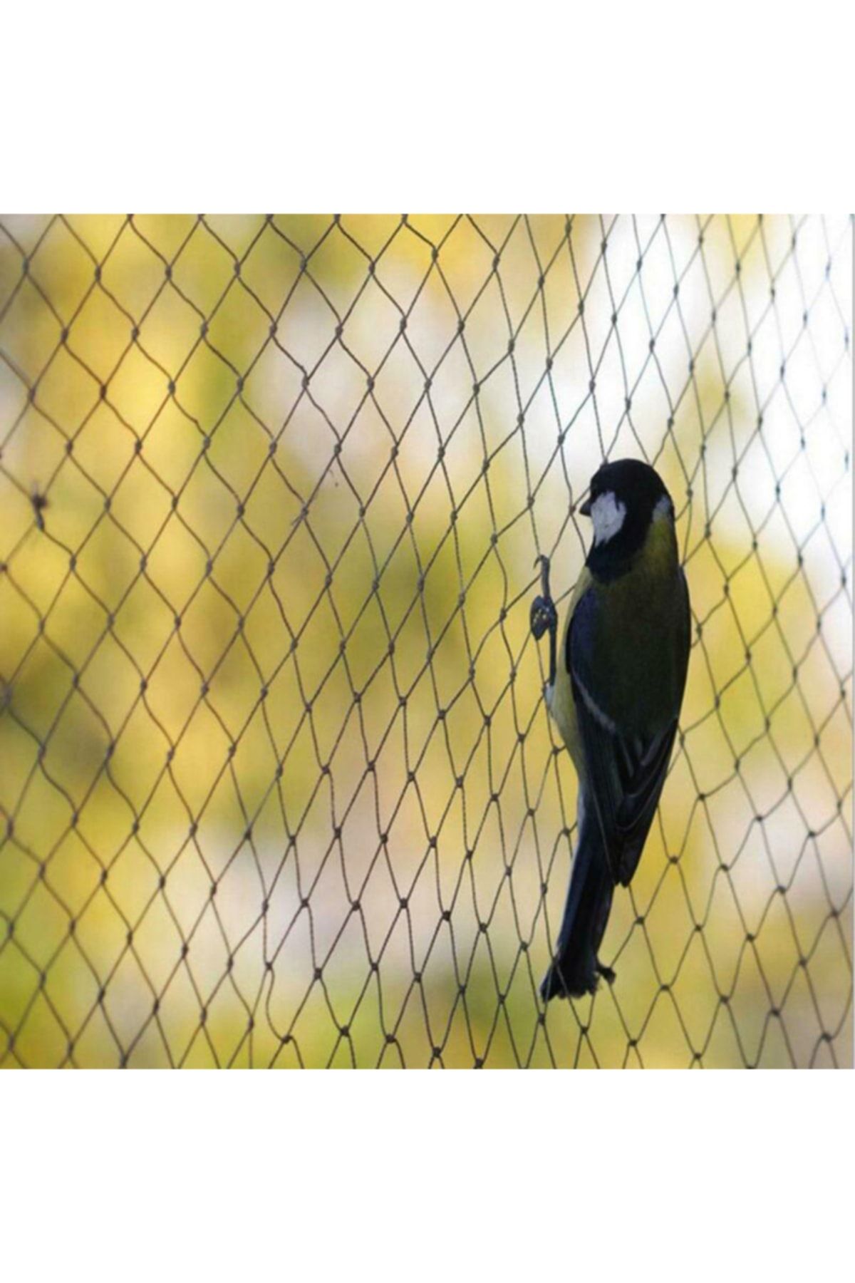 Asenya-Bird Net 2x15 Meters Balcony Net Bird Prevention Net Pigeon Prevention Net 4