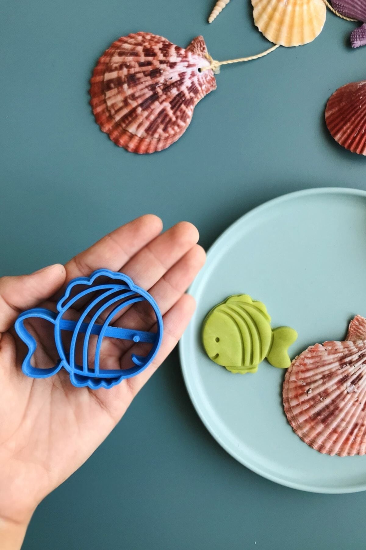 Seashell cookie mold deals