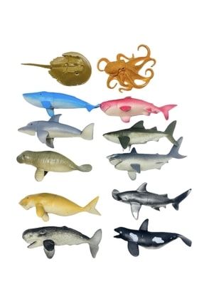 12 Adet Deniz Canlıları Hayvan Seti Oyuncak Et Malzeme Okyanus Canlıları P7002S5267