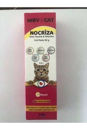 Mbv Cat Nocriza 4