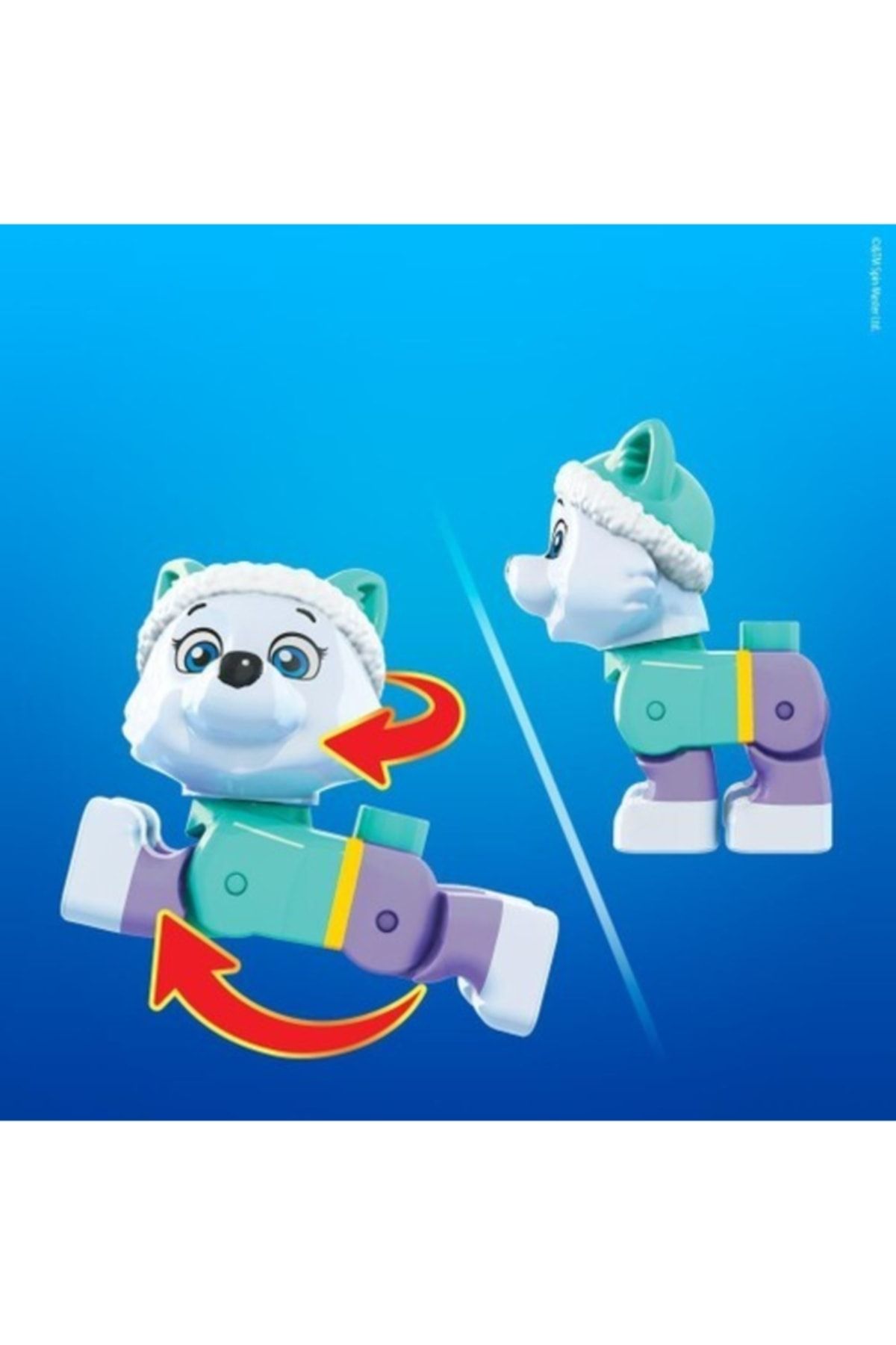 Everest zoomer 2024