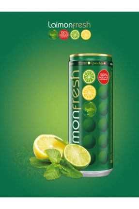 Nane Limon 330 Ml %100 Doğal Bileşenli Alkolsüz Gazlı Içecek Laimon01
