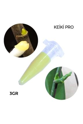 Keiki Pro Orkide/yılbaşı/atlas Çiçeği Çoğaltma Yetiştirme Macunu Vazelin Ithal 3gr KEIKI-PRO-30X1