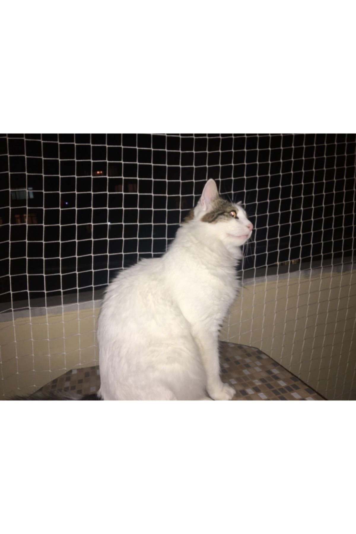 Asenya-Bird Net 2x15 Meters Balcony Net Bird Prevention Net Pigeon Prevention Net 5