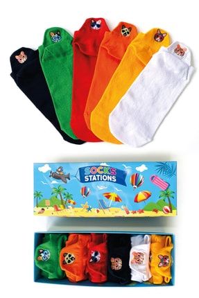 6'lı Susam Sokağı Nakışlı Bilek Renkli Çorap Kutusu sS00094